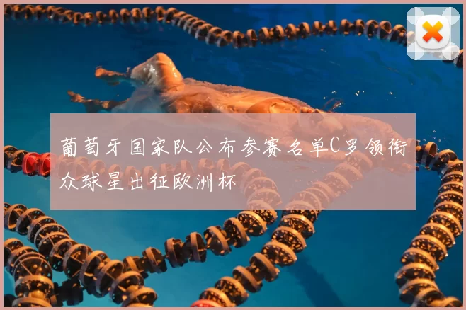 葡萄牙国家队公布参赛名单C罗领衔众球星出征欧洲杯