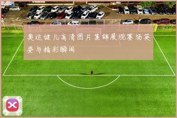 奥运健儿高清图片集锦展现赛场英姿与精彩瞬间